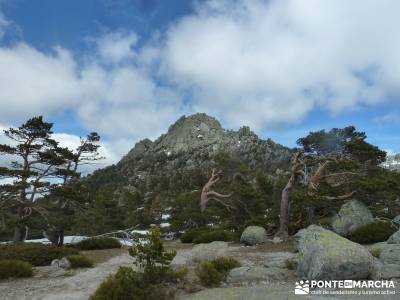 Siete Picos - Parque Nacional Cumbres del Guadarrama;cañada real segoviana macizo galaico leones gr